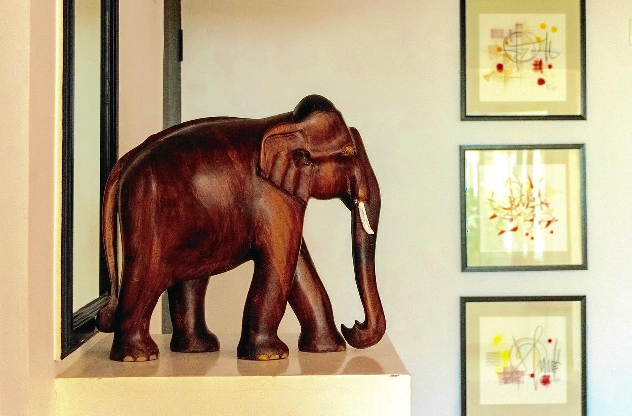 Petit Elephant Cherai Beach Exterior photo
